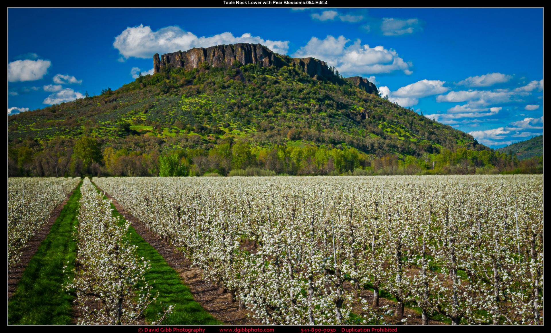 Lower Table Rock Spring