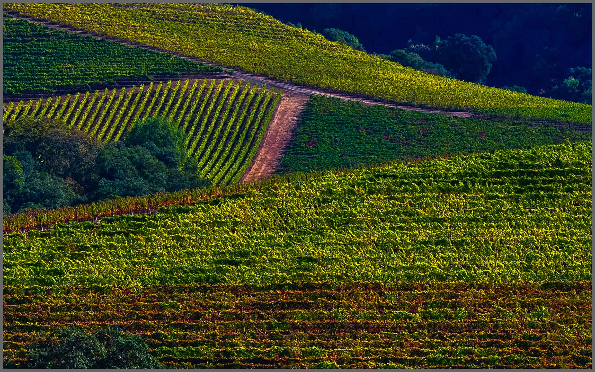 Vineyards/Wineries