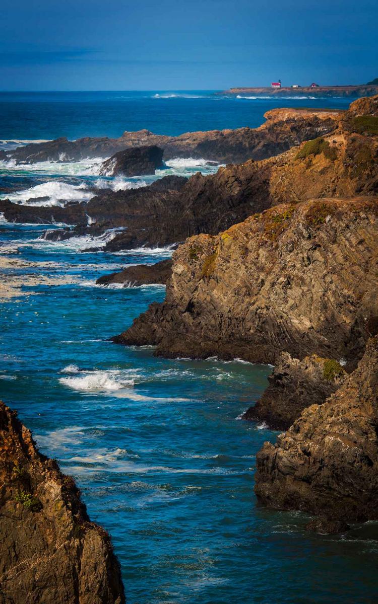 Mendocino Coast